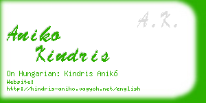 aniko kindris business card